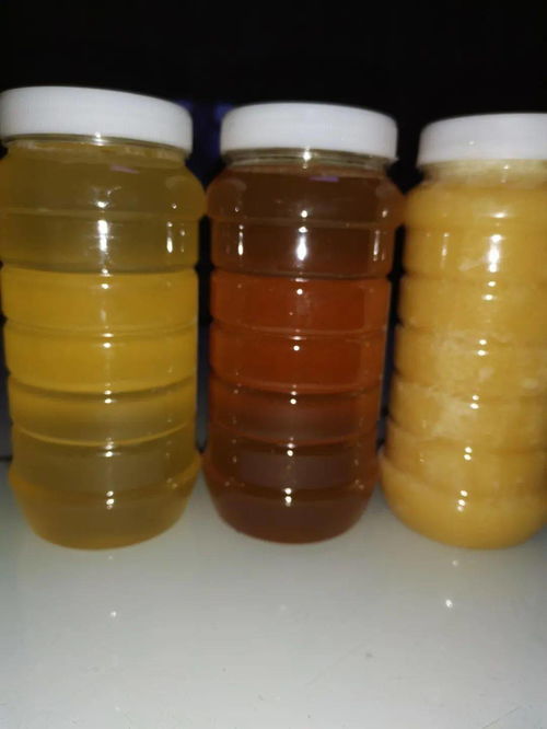浆水特产 茴香苗 蜂蜜......这些农产品急需收购 丨助农直通车 第二十二期