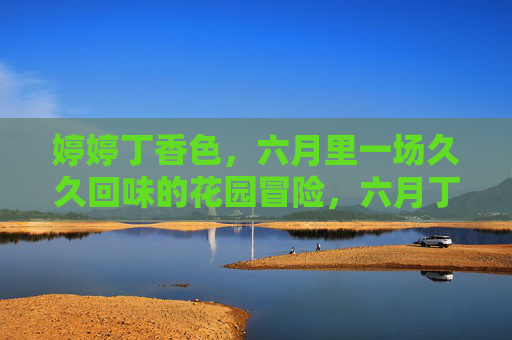 婷婷丁香色,六月里一场久久回味的花园冒险,六月丁香色,一场久久回味的花园冒险 婷婷丁香色,六月里一场久久回味的花园冒险,六月丁香色,一场久久回味的花园冒险
