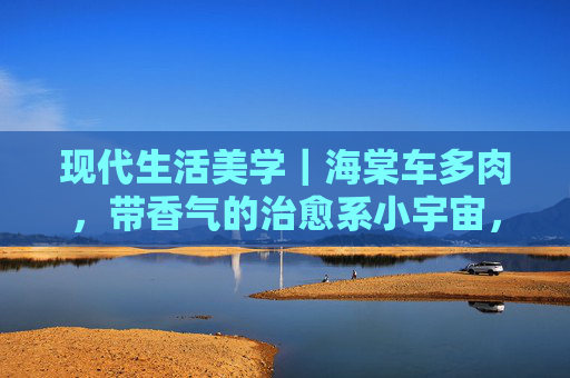 现代生活美学｜海棠车多肉，带香气的治愈系小宇宙，海棠车多肉，香气治愈的生活美学小宇宙