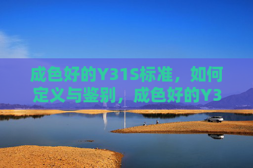 成色好的Y31S标准，如何定义与鉴别，成色好的Y31S标准的定义与鉴别