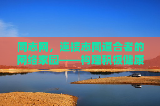 同志网，连接志同道合者的网络家园——构建积极健康的线上交流空间，同志网，志同道合者的健康网络家园