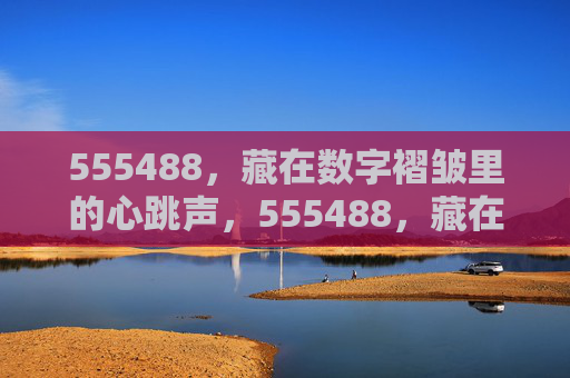 555488，藏在数字褶皱里的心跳声，555488，藏在数字褶皱里的心跳声