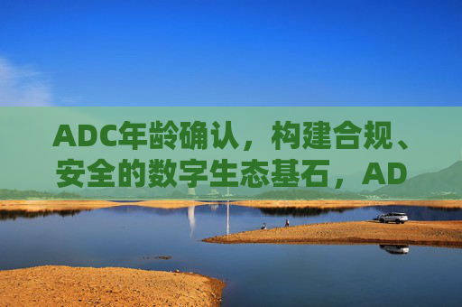 ADC年龄确认，构建合规、安全的数字生态基石，ADC年龄确认，筑牢合规安全数字生态基石