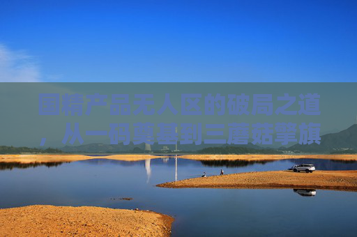 国精产品无人区的破局之道，从一码奠基到三蘑菇擎旗，国精产品无人区破局，从一码奠基到三蘑菇擎旗