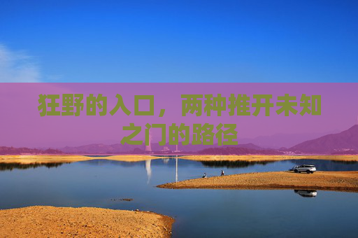 狂野的入口，两种推开未知之门的路径