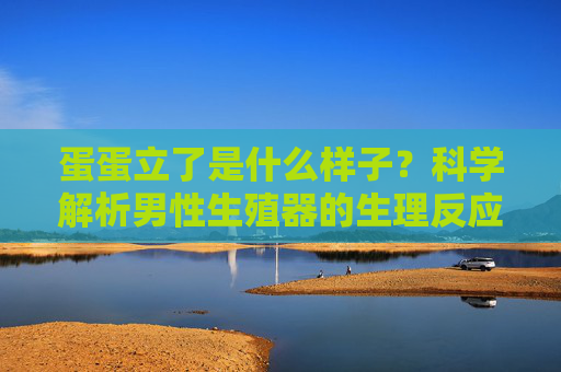 蛋蛋立了是什么样子？科学解析男性生殖器的生理反应，科学解析男性生殖器生理反应，蛋蛋立了的勃起机制