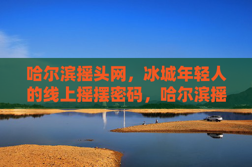 哈尔滨摇头网，冰城年轻人的线上摇摆密码，哈尔滨摇头网，冰城年轻人的线上摇摆密码