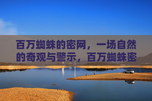 百万蜘蛛的密网,一场自然的奇观与警示,百万蜘蛛密网,自然奇观与警示 百万蜘蛛的密网,一场自然的奇观与警示,百万蜘蛛密网,自然奇观与警示