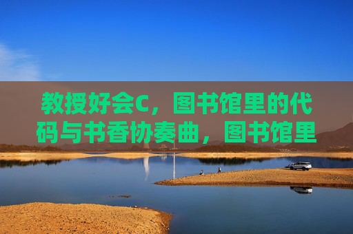 教授好会C，图书馆里的代码与书香协奏曲，图书馆里的教授协奏曲，代码与书香