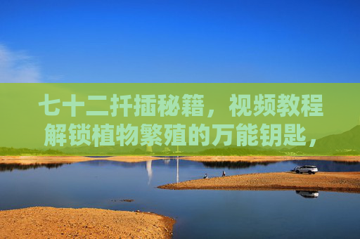 七十二扦插秘籍,视频教程解锁植物繁殖的万能钥匙,新手也能秒变绿植大神,七十二扦插秘籍,新手秒变绿植大神的万能钥匙 七十二扦插秘籍,视频教程解锁植物繁殖的万能钥匙,新手也能秒变绿植大神,七十二扦插秘籍,新手秒变绿植大神的万能钥匙
