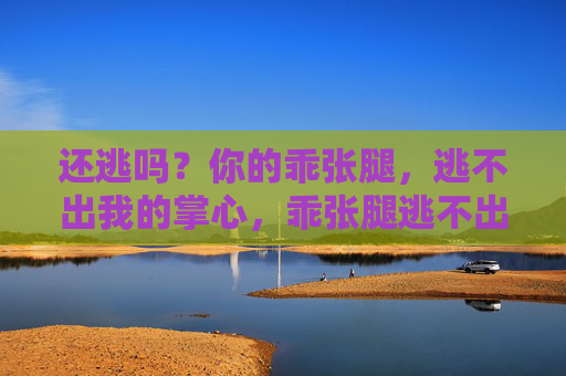 还逃吗?你的乖张腿,逃不出我的掌心,乖张腿逃不出我的掌心 还逃吗?你的乖张腿,逃不出我的掌心,乖张腿逃不出我的掌心