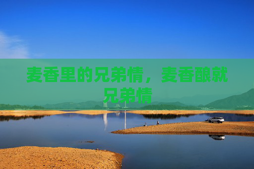 麦香里的兄弟情，麦香酿就兄弟情