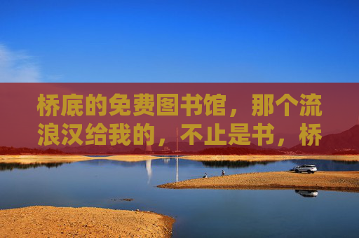 桥底的免费图书馆,那个流浪汉给我的,不止是书,桥底图书馆,流浪汉给我的,不止是书 桥底的免费图书馆,那个流浪汉给我的,不止是书,桥底图书馆,流浪汉给我的,不止是书