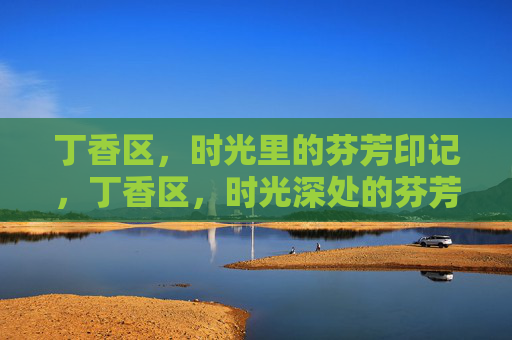 丁香区,时光里的芬芳印记,丁香区,时光深处的芬芳印记 丁香区,时光里的芬芳印记,丁香区,时光深处的芬芳印记