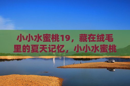 小小水蜜桃19，藏在绒毛里的夏天记忆，小小水蜜桃，藏在绒毛里的夏天
