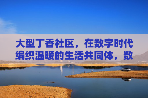 大型丁香社区，在数字时代编织温暖的生活共同体，数字时代，丁香社区编织温暖生活共同体
