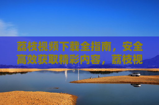 荔枝视频下载全指南，安全高效获取精彩内容，荔枝视频安全高效下载全指南