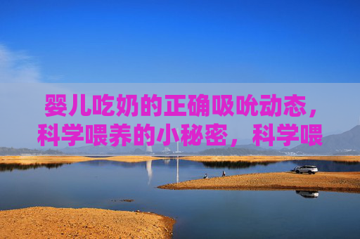 婴儿吃奶的正确吸吮动态，科学喂养的小秘密，科学喂养揭秘，婴儿吃奶的正确吸吮动态