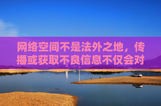 网络空间不是法外之地，传播或获取不良信息不仅会对个人身心健康造成危害，还可能触犯法律，承担相应的法律责任。我国始终致力于打击各类网络违法犯罪行为，维护清朗的网络环境，保护公民尤其是未成年人的合法权益，网络空间不是法外之地，打击不良信息，护清朗环境与未成年人权益