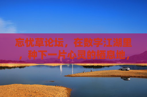 忘忧草论坛，在数字江湖里，种下一片心灵的栖息地，忘忧草论坛，数字江湖的心灵栖息地