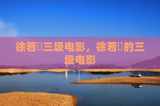 徐若瑄三圾电影，徐若瑄的三圾电影