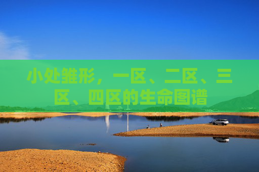 小处雏形，一区、二区、三区、四区的生命图谱