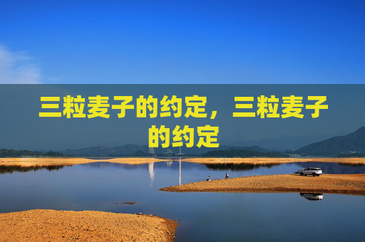 三粒麦子的约定，三粒麦子的约定