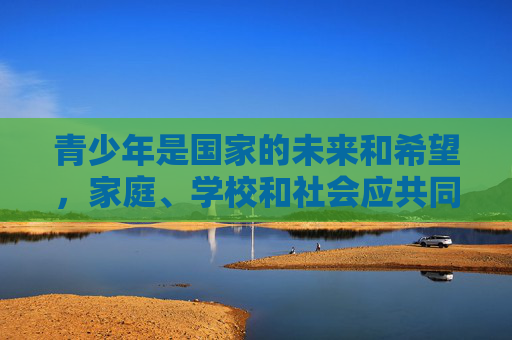 青少年是国家的未来和希望，家庭、学校和社会应共同努力，加强网络素养教育，引导他们树立正确的网络使用观念，增强辨别是非和自我保护能力，远离网络不良信息，健康成长。让我们携手共建文明网络，共享清朗空间，共育青少年网络素养 守护成长共建清朗空间
