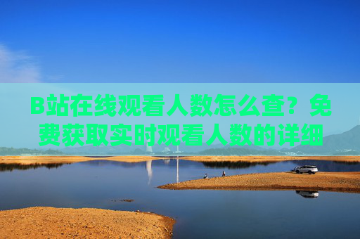 B站在线观看人数怎么查?免费获取实时观看人数的详细方法,B站实时观看人数免费查看方法 B站在线观看人数怎么查?免费获取实时观看人数的详细方法,B站实时观看人数免费查看方法