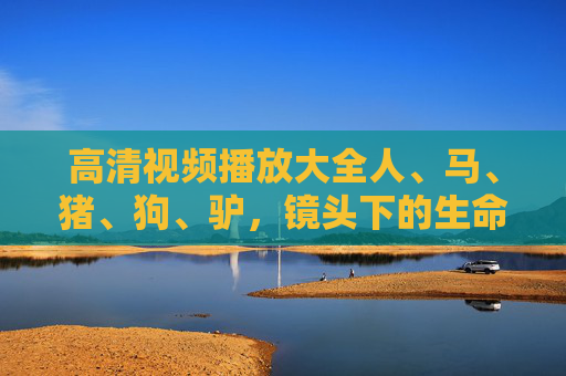 高清视频播放大全人、马、猪、狗、驴,镜头下的生命百态与温情瞬间,高清镜头下的生命交响,人、马、猪、狗、驴的百态与温情 高清视频播放大全人、马、猪、狗、驴,镜头下的生命百态与温情瞬间,高清镜头下的生命交响,人、马、猪、狗、驴的百态与温情