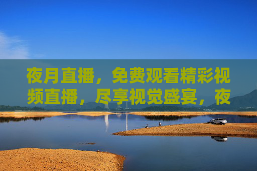 夜月直播，免费观看精彩视频直播，尽享视觉盛宴，夜月直播，免费畅享视觉盛宴