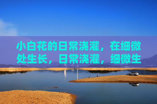 小白花的日常浇灌,在细微处生长,日常浇灌,细微生长 小白花的日常浇灌,在细微处生长,日常浇灌,细微生长