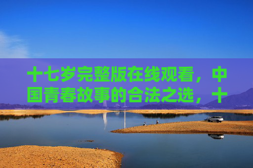 十七岁完整版在线观看，中国青春故事的合法之选，十七岁中国青春故事，合法在线观看完整版
