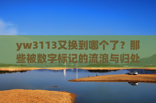 yw3113又换到哪个了?那些被数字标记的流浪与归处,yw3113,数字标记的流浪与归处 yw3113又换到哪个了?那些被数字标记的流浪与归处,yw3113,数字标记的流浪与归处
