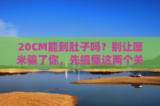20CM能到肚子吗?别让厘米骗了你,先搞懂这两个关键问题,20CM能到肚子吗?别被厘米骗,先懂这两个关键问题 20CM能到肚子吗?别让厘米骗了你,先搞懂这两个关键问题,20CM能到肚子吗?别被厘米骗,先懂这两个关键问题