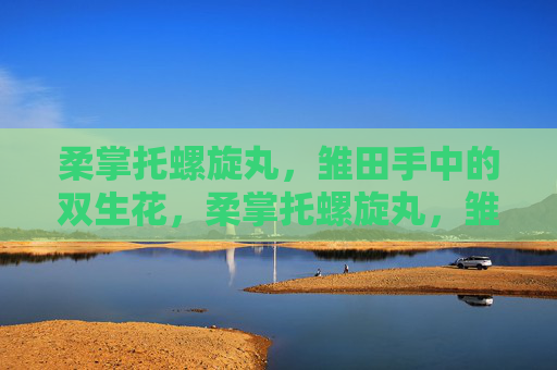 柔掌托螺旋丸,雏田手中的双生花,柔掌托螺旋丸,雏田的双生花 柔掌托螺旋丸,雏田手中的双生花,柔掌托螺旋丸,雏田的双生花