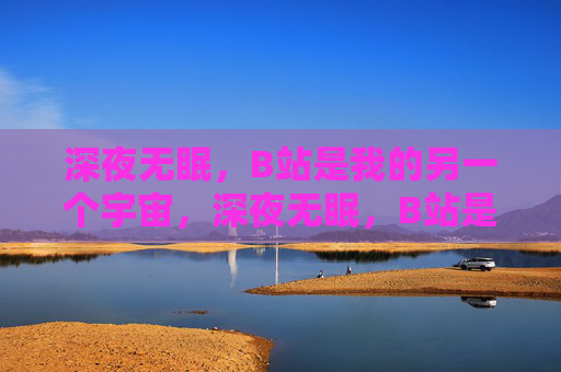 深夜无眠，B站是我的另一个宇宙，深夜无眠，B站是我的另一个宇宙