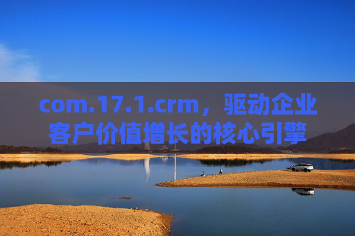 com.17.1.crm,驱动企业客户价值增长的核心引擎 com.17.1.crm,驱动企业客户价值增长的核心引擎