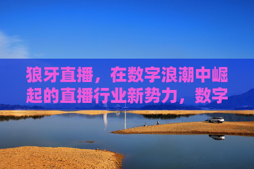 狼牙直播，在数字浪潮中崛起的直播行业新势力，数字浪潮中崛起的直播行业新势力——狼牙直播