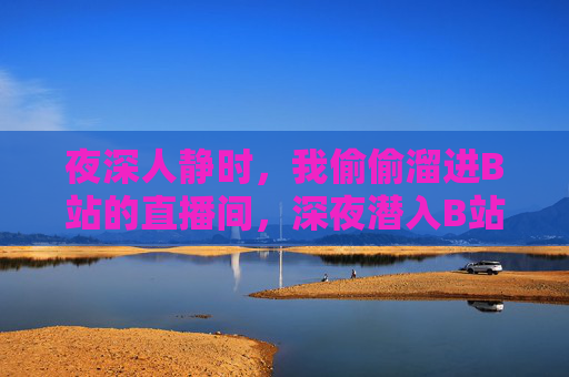 夜深人静时,我偷偷溜进B站的直播间,深夜潜入B站直播间 夜深人静时,我偷偷溜进B站的直播间,深夜潜入B站直播间