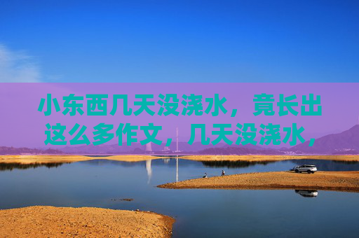 小东西几天没浇水,竟长出这么多作文,几天没浇水,小东西竟长出这么多作文 小东西几天没浇水,竟长出这么多作文,几天没浇水,小东西竟长出这么多作文