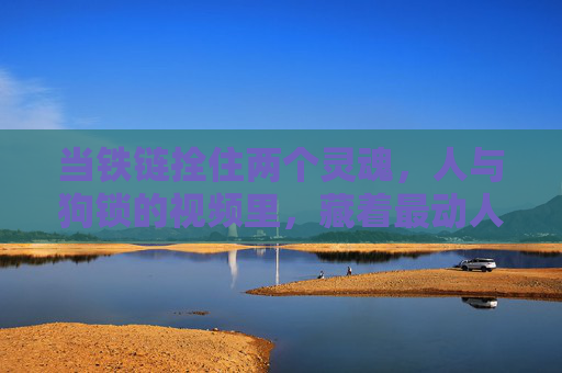 当铁链拴住两个灵魂，人与狗锁的视频里，藏着最动人的双向奔赴，人与狗的铁链，双向奔赴的灵魂