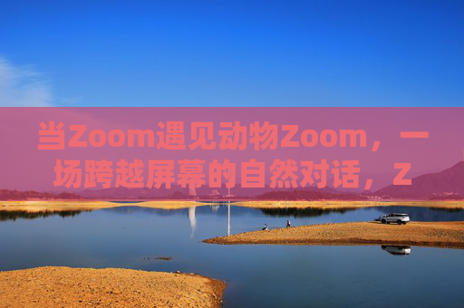 当Zoom遇见动物Zoom，一场跨越屏幕的自然对话，Zoom遇见动物Zoom，一场跨越屏幕的自然对话