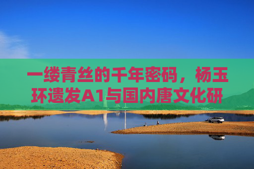 一缕青丝的千年密码,杨玉环遗发A1与国内唐文化研究的破壁之旅,杨玉环遗发A1,千年密码与唐文化研究破壁之旅 一缕青丝的千年密码,杨玉环遗发A1与国内唐文化研究的破壁之旅,杨玉环遗发A1,千年密码与唐文化研究破壁之旅