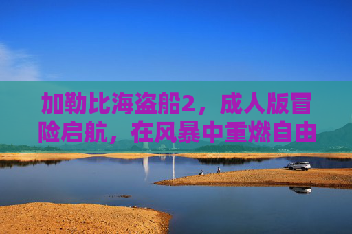 加勒比海盗船2，成人版冒险启航，在风暴中重燃自由之火，加勒比海盗船2，成人版冒险风暴中重燃自由之火