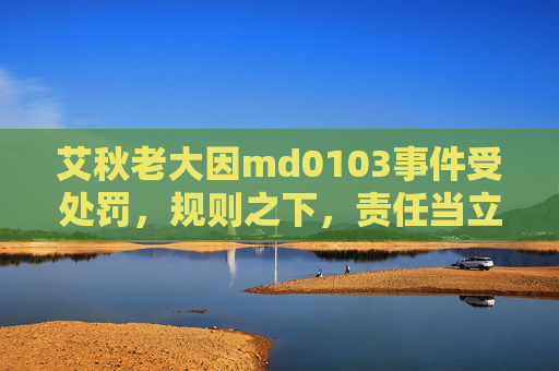 艾秋老大因md0103事件受处罚，规则之下，责任当立，艾秋老大md0103事件受处罚，规则之下，责任当立