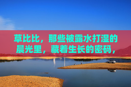 草比比,那些被露水打湿的晨光里,藏着生长的密码,露水晨光,草的生长密码 草比比,那些被露水打湿的晨光里,藏着生长的密码,露水晨光,草的生长密码