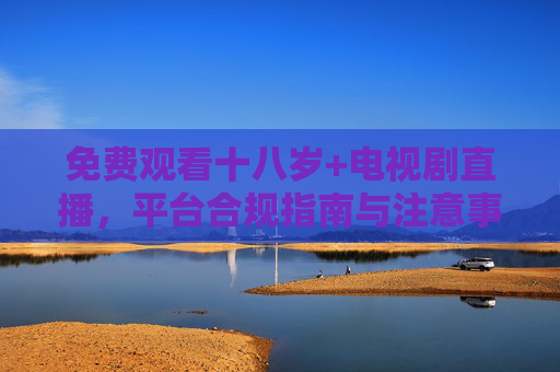 免费观看十八岁+电视剧直播，平台合规指南与注意事项，免费观看十八岁+电视剧直播，平台合规指南与注意事项