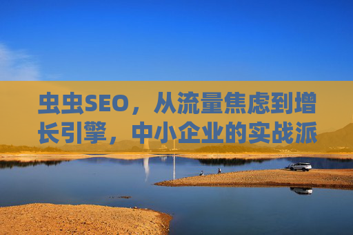 虫虫SEO,从流量焦虑到增长引擎,中小企业的实战派SEO指南,虫虫SEO,中小企业从流量焦虑到增长引擎的实战指南 虫虫SEO,从流量焦虑到增长引擎,中小企业的实战派SEO指南,虫虫SEO,中小企业从流量焦虑到增长引擎的实战指南