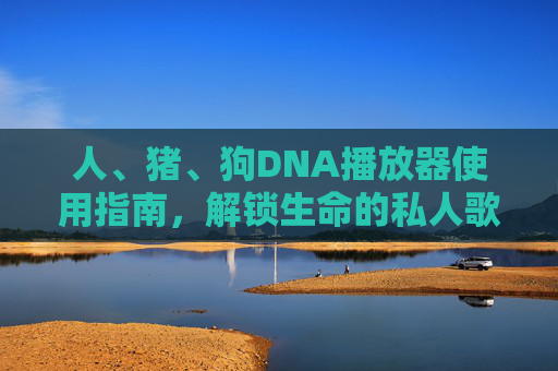 人、猪、狗DNA播放器使用指南，解锁生命的私人歌单，人猪狗DNA播放器使用指南，解锁生命私人歌单